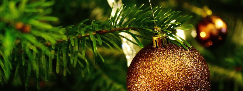 Jak se starat o vánoční stromek, aby neopadal